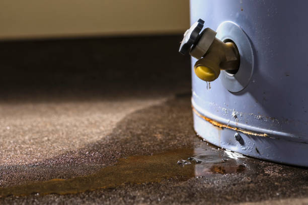 Best 24-hour water damage restoration  in Volcano Golf Course, HI