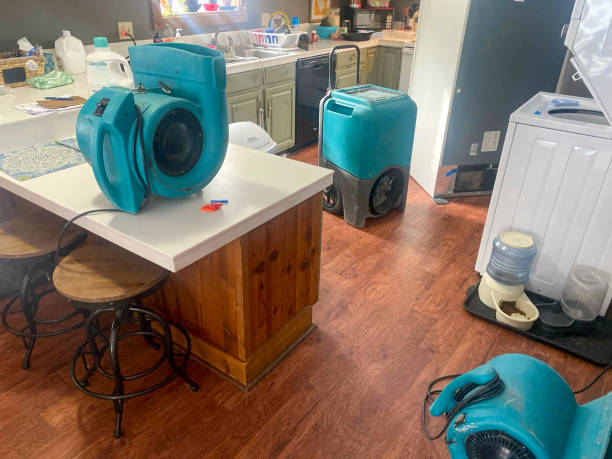 Best Sewage cleanup and water damage restoration  in Volcano Golf Course, HI