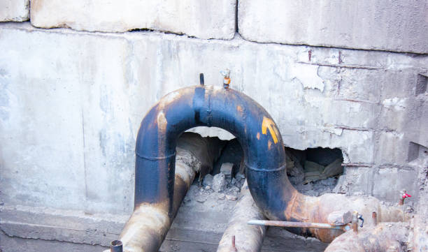 Best Carpet water damage restoration  in Volcano Golf Course, HI