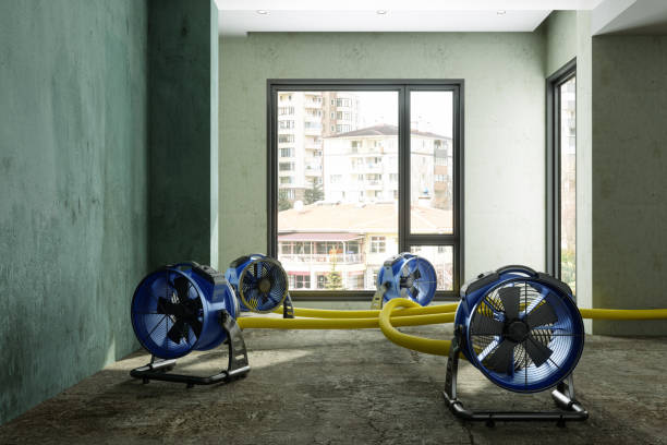 Best Ceiling water damage repair  in Volcano Golf Course, HI